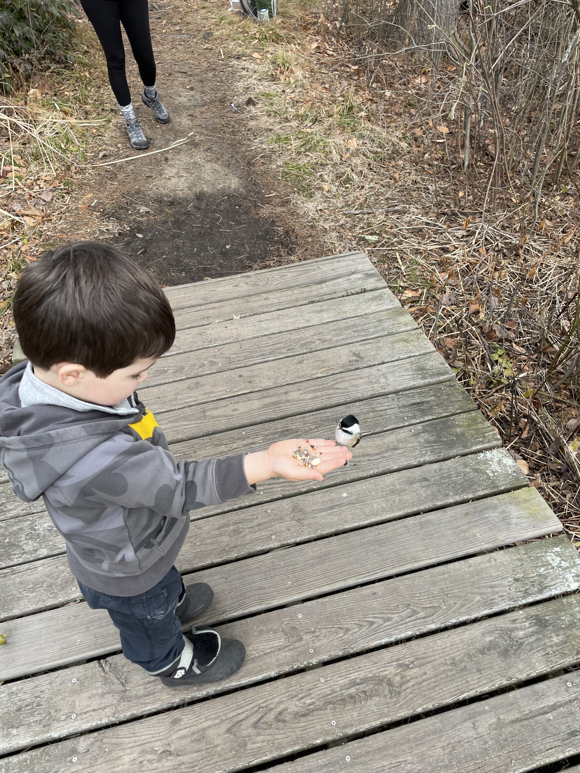 Ipswich River Wildlife Refuge